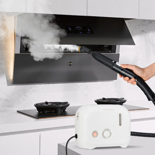 1500W Portable Steam Cleaner with 34 oz Water Tank-White-0